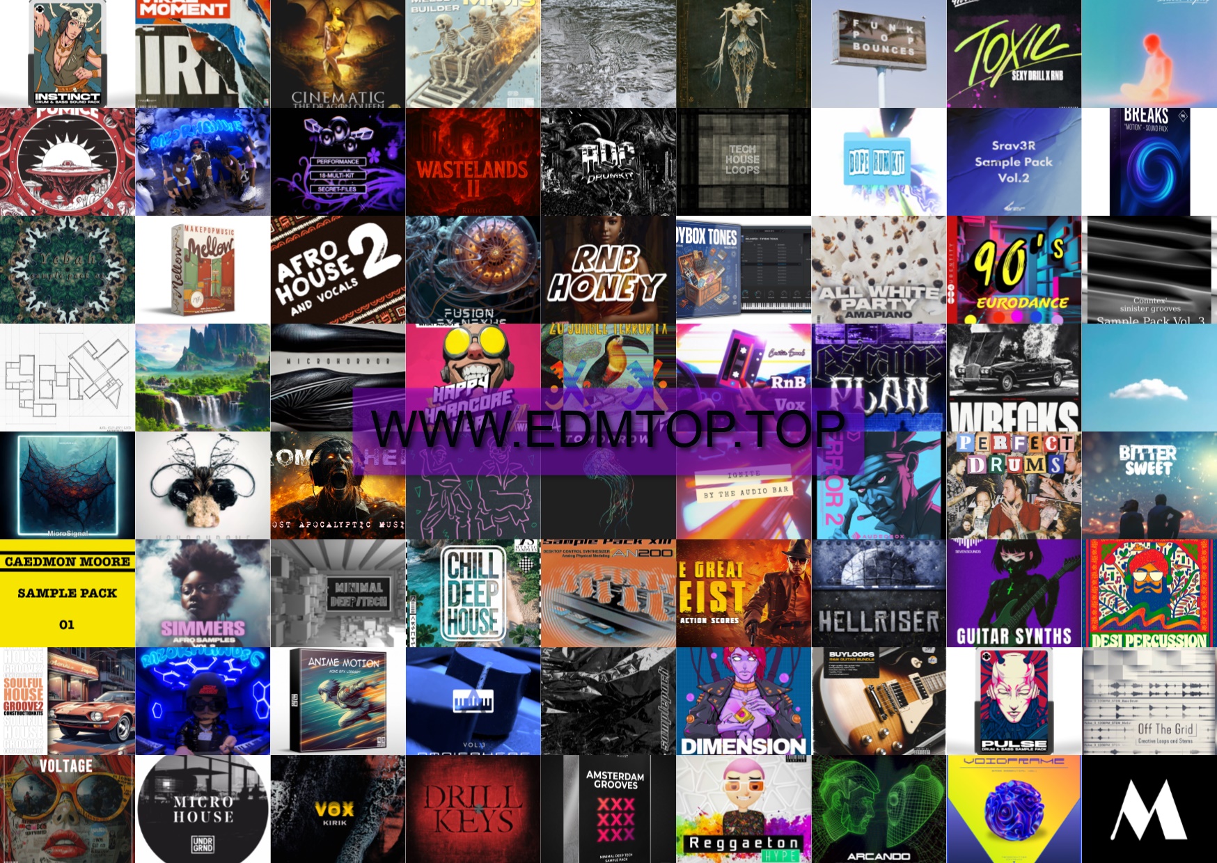 【EDM多风格采样包合集2026.1】Sample Pack Collection 2026 VOL.3