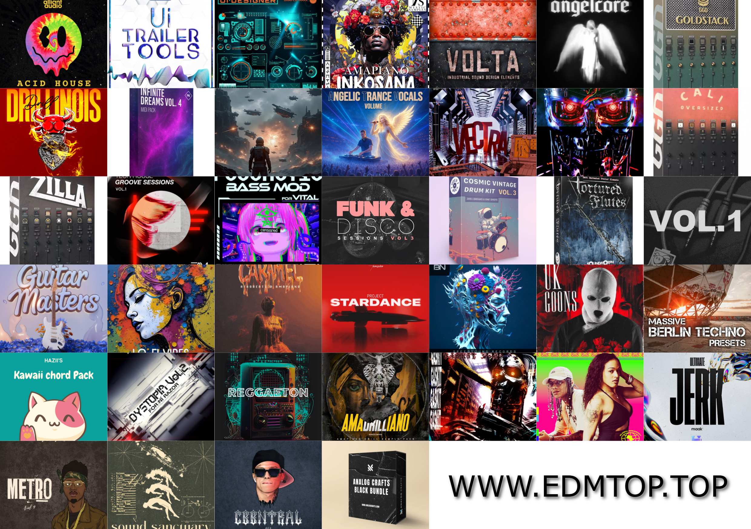 【EDM多风格采样包合集2026.1】SAMPLE PACK COLLECTION VOL.5